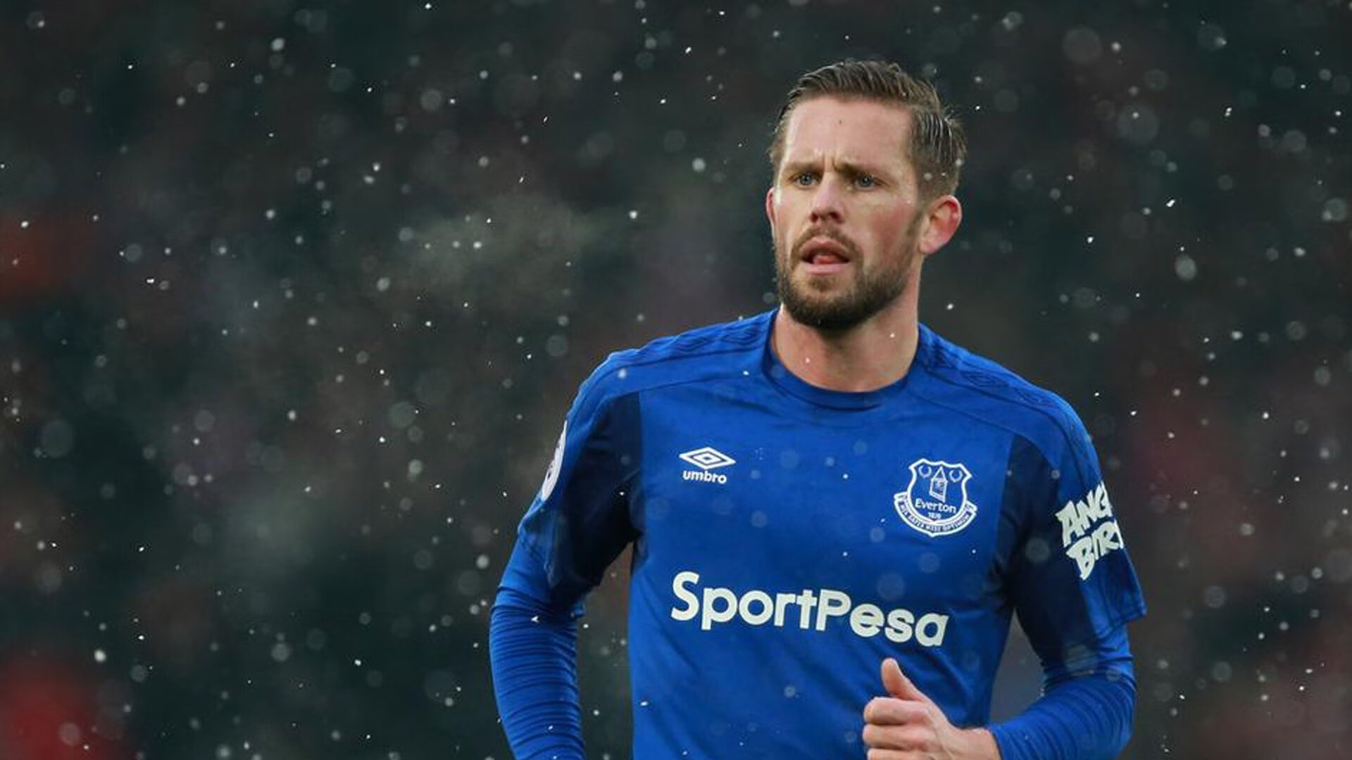 布鲁诺·卡博克洛成为NBA社交媒体关注焦点，布鲁诺卡波科洛体测数据