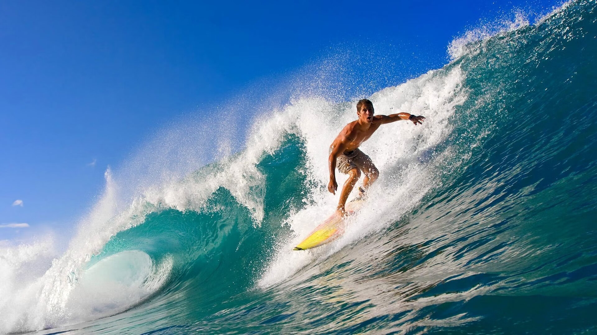 爱游戏官网-“高新体育中心：羽毛球赛场上演速度与力量的巅峰较量”