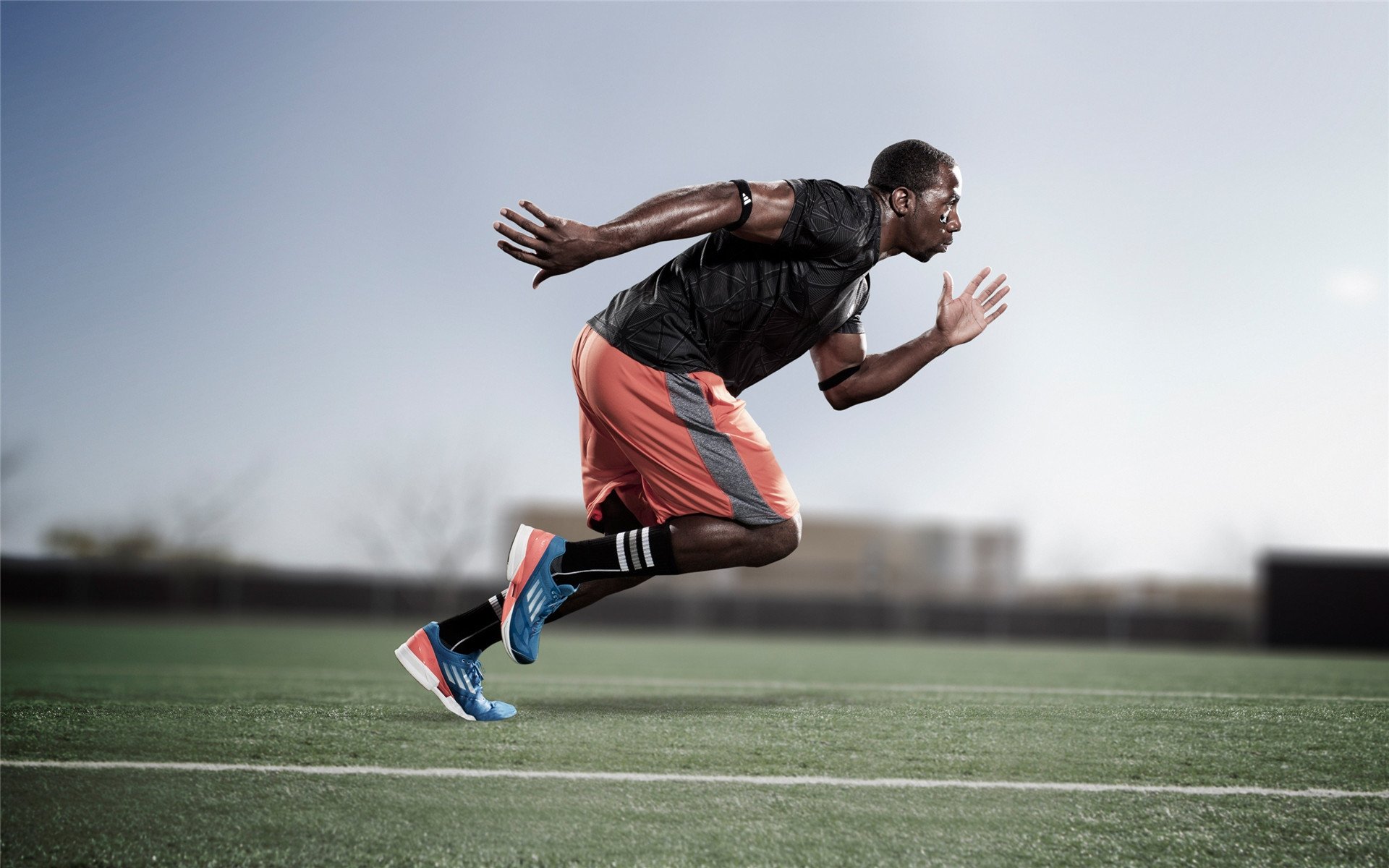 未来趋势：联盟的“绿色计划”将引领体育环保新风尚，绿色联盟应用体验标准