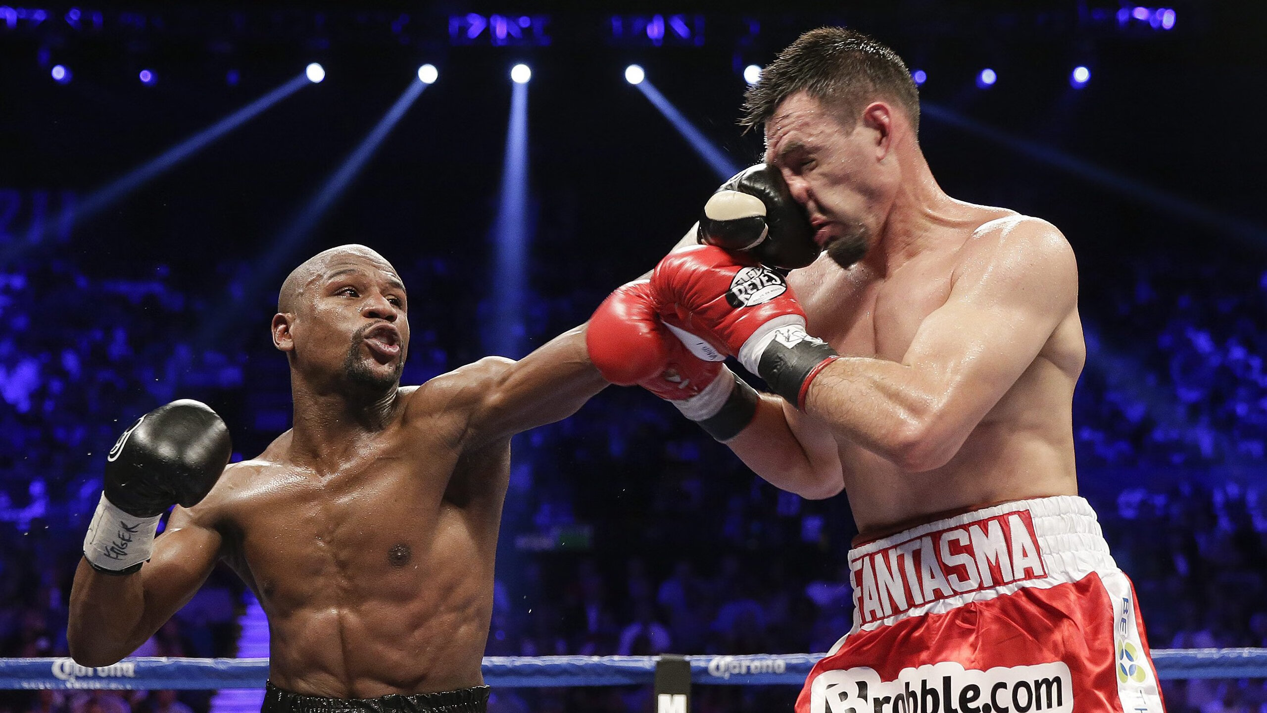 选手排位赛：谁将晋级总决赛？，排位赛冠军